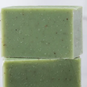 Evergreen Bar Soap
