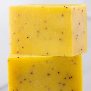 Orange Cranberry Bar Soap